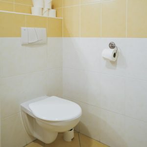 _dsf1630_large